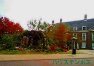 20141109_141913.jpg