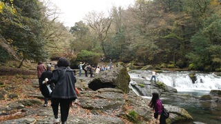DSC_0642.JPG