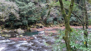 DSC_0646.JPG