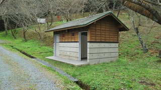 DSC_1181.JPG