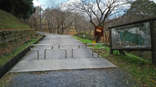DSC_1182.JPG