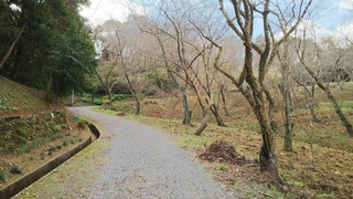 DSC_1184.JPG