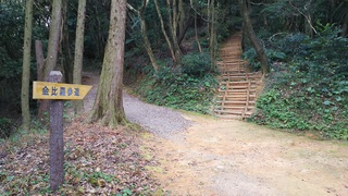 DSC_1189.JPG