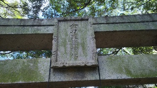 DSC_1200.JPG