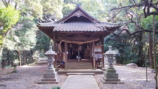 DSC_1201.JPG