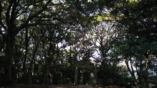 DSC_1202.JPG