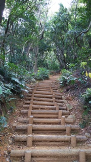 DSC_1205.JPG