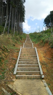 DSC_1210.JPG
