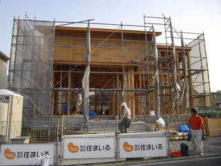 IMGP0534.JPG