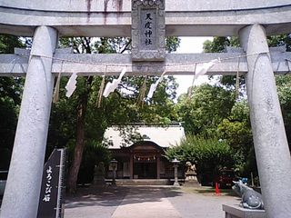 img_789528_55623271_0.jpg