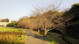 DSC_1364.JPG