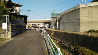 DSC_1367.JPG